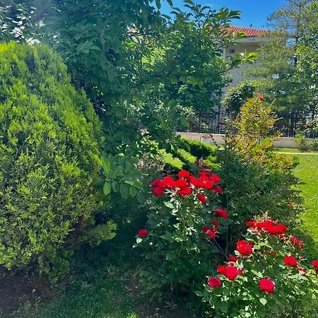 Marina K-s Triumph Апартамент *